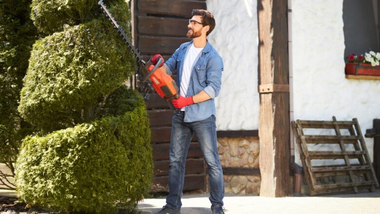 Créations de décorations pour sublimer l’arbre central de votre jardin