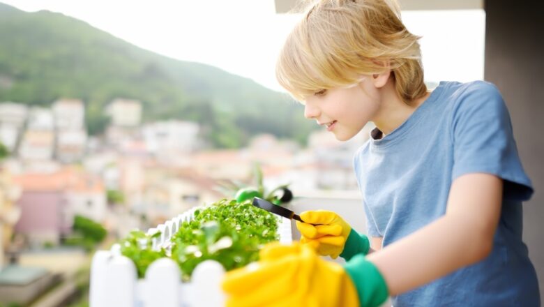 Cultiver un mini-potager sur son balcon : guide pratique